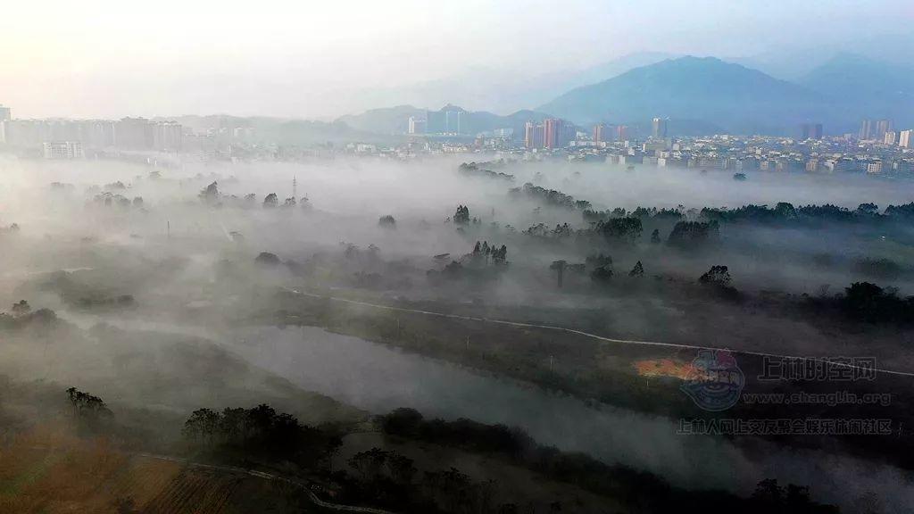 美妙夏季拼图