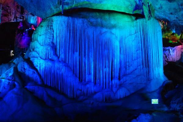 高全功:齐鲁大地最美乡村振兴人丨2023年度三农人物候选人