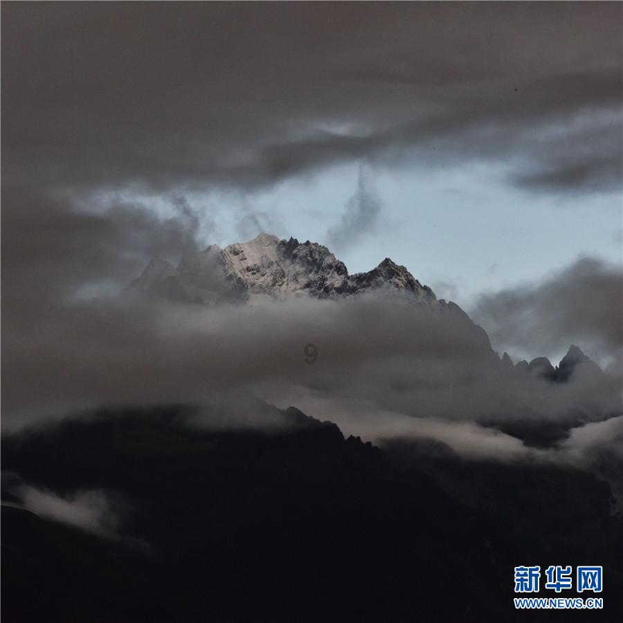 救援受困的鬃狼