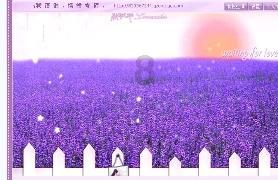 最适合你的爱情计策