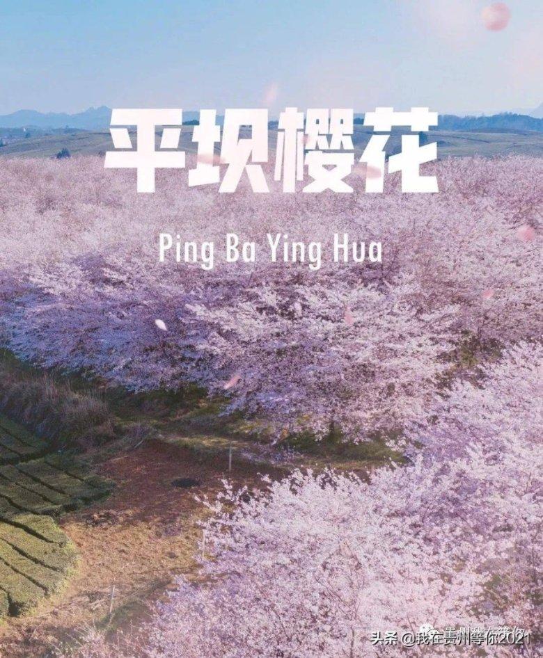 横店影视预计去年净利超1.35亿：院线经营环境好转，电影市场复苏