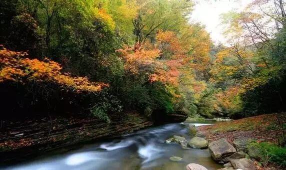 乡游黔中 | 黄平县印地坝村:村景依依,领略冬日㵲阳河畔的苗寨风光