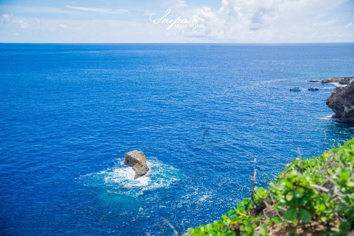 小猫钓鱼正版下载中文版