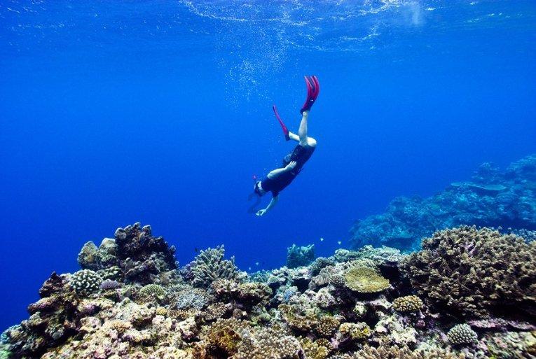 人类的命运在谁的手里掌握着?-领先的知识星球平台