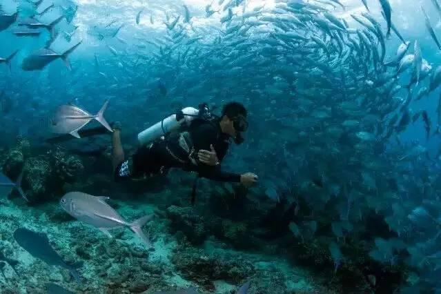 深海鱼救援