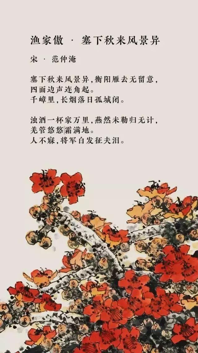 疯狂的小猫
