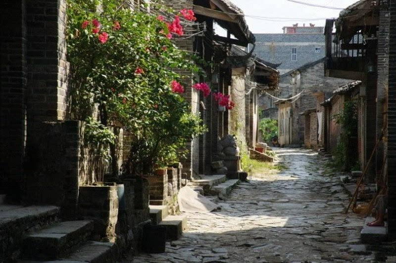 阴暗森林